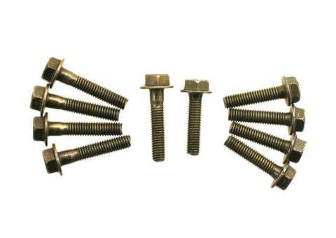 Bolts - M6-1.00 Bolts - Set of 10 for WOLF LUCKY 50 > Part #175GRS50